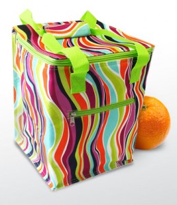 insulated lunch bags under $5 on ALL Summer Lunch Totes ONLY $5.50 SHIPPED!