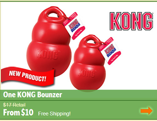 treats for kong toys