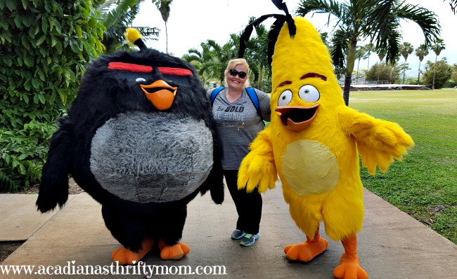 Enter For A Chance To Win A $100 Spafinder Gift Card Ends 5/8 #AlohaAngryBirds