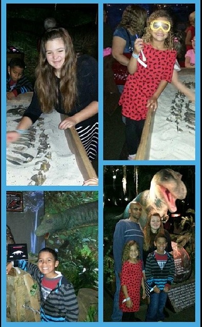 aquarium collage