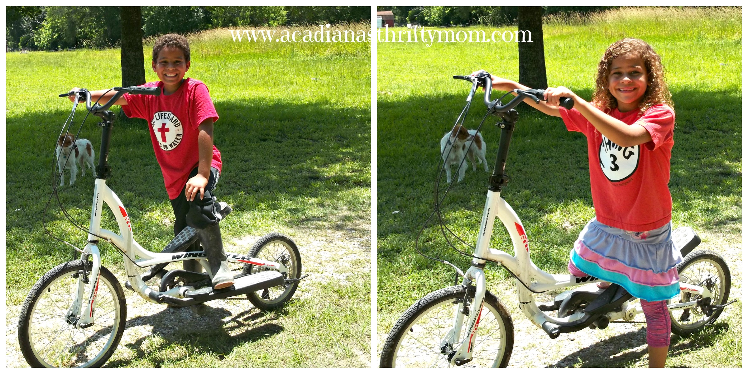 Zike bike hot sale for sale