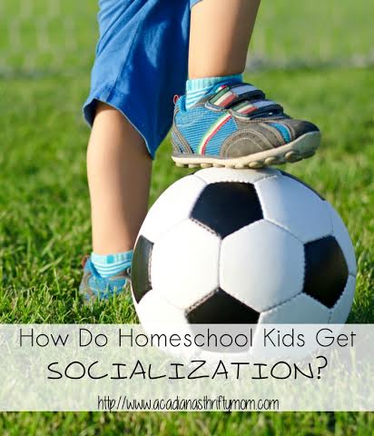 homeschool socialization