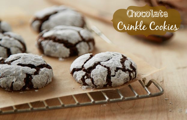 cocoa crinkle cookies