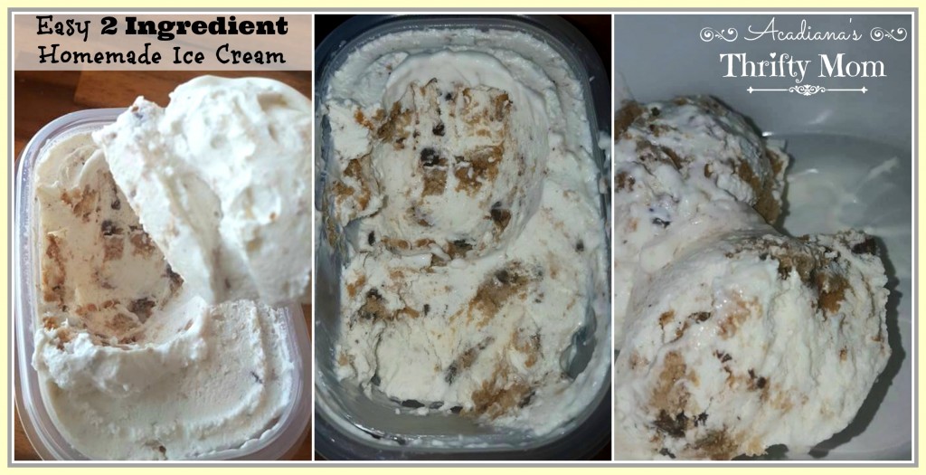 Easy 2 Ingredient Homemade Ice Cream Acadiana's Thrifty Mom