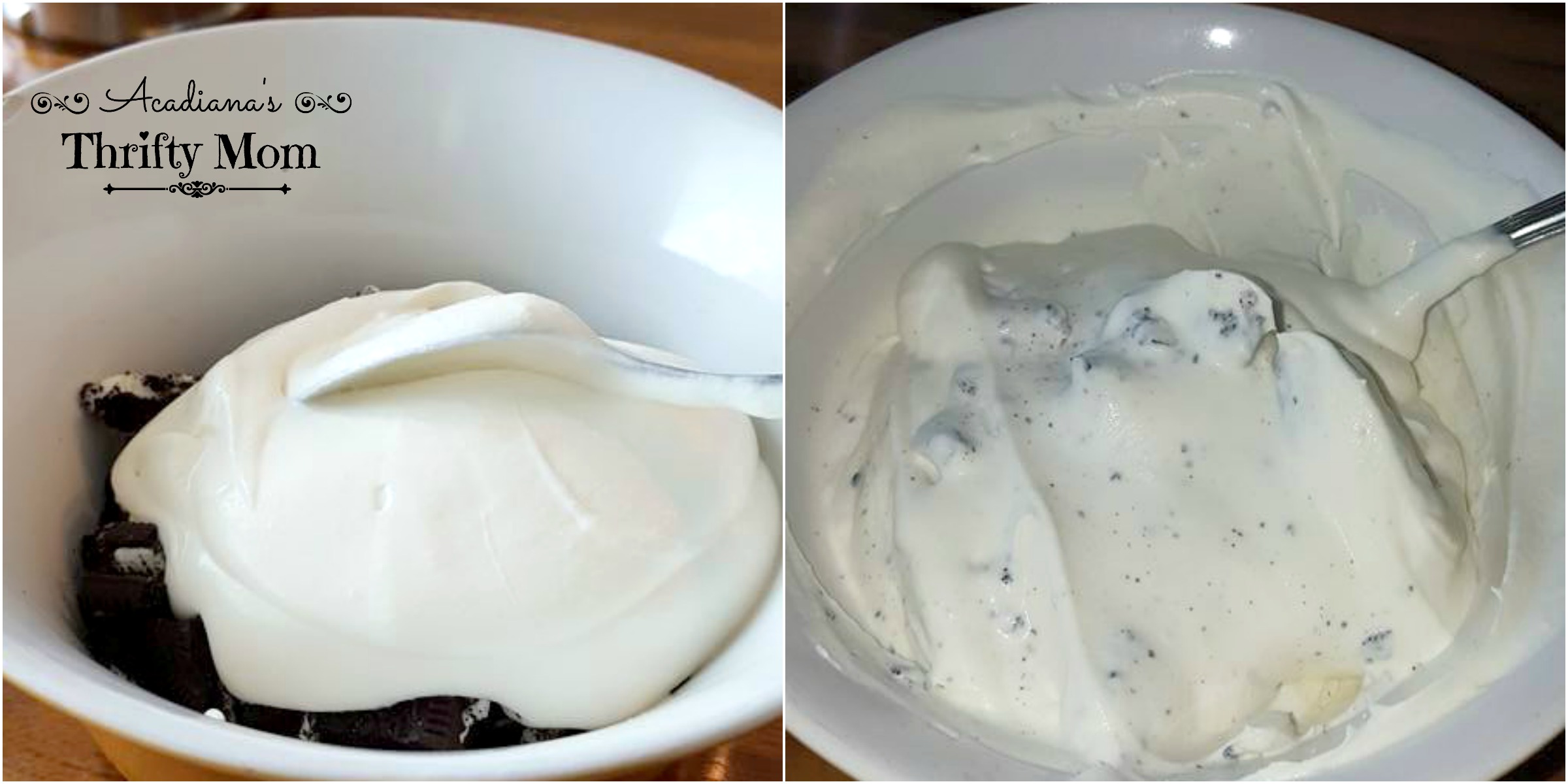 Easy 2 Ingredient Homemade Ice Cream