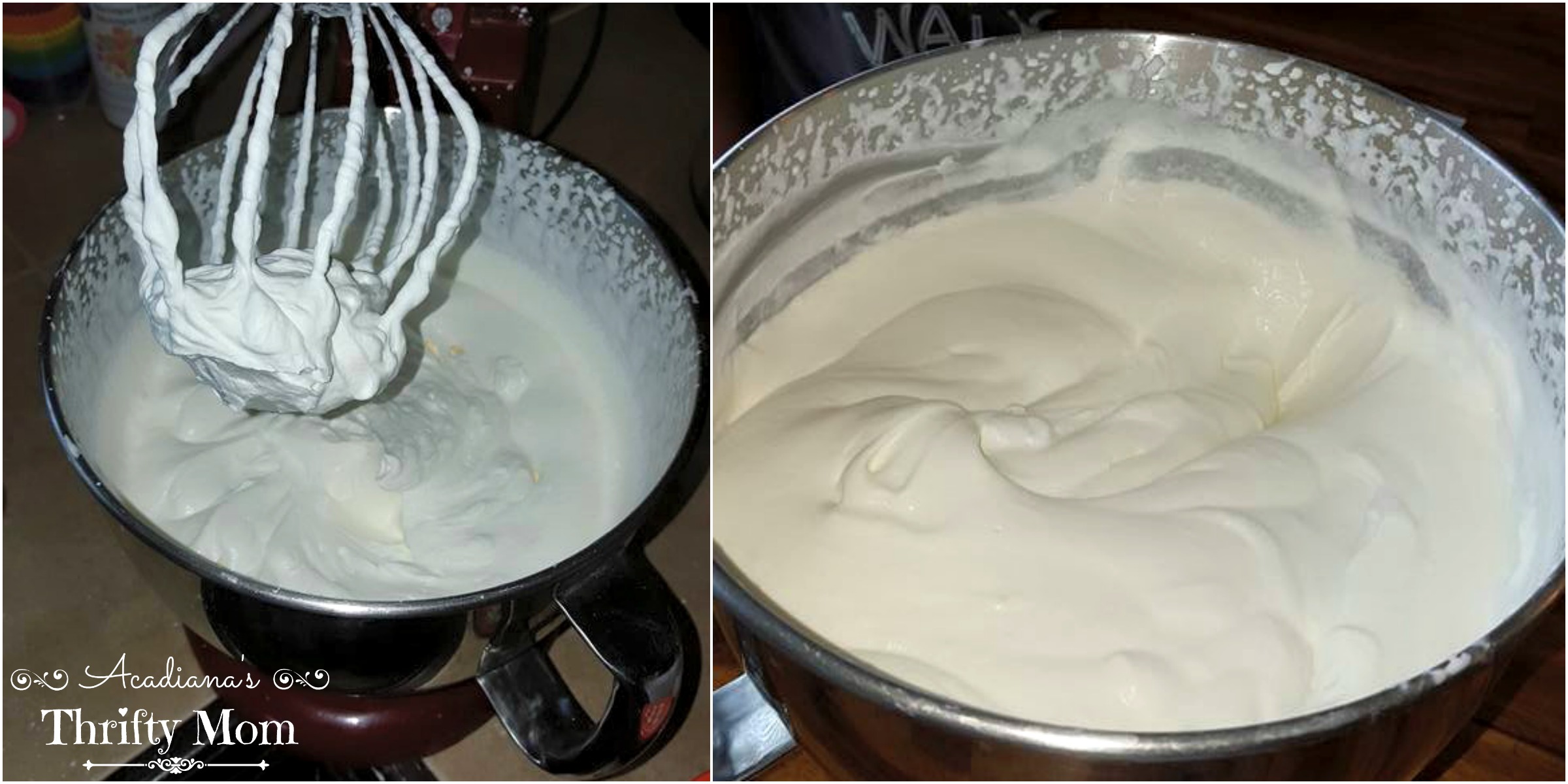 Easy 2 Ingredient Homemade Ice Cream - Acadiana's Thrifty Mom