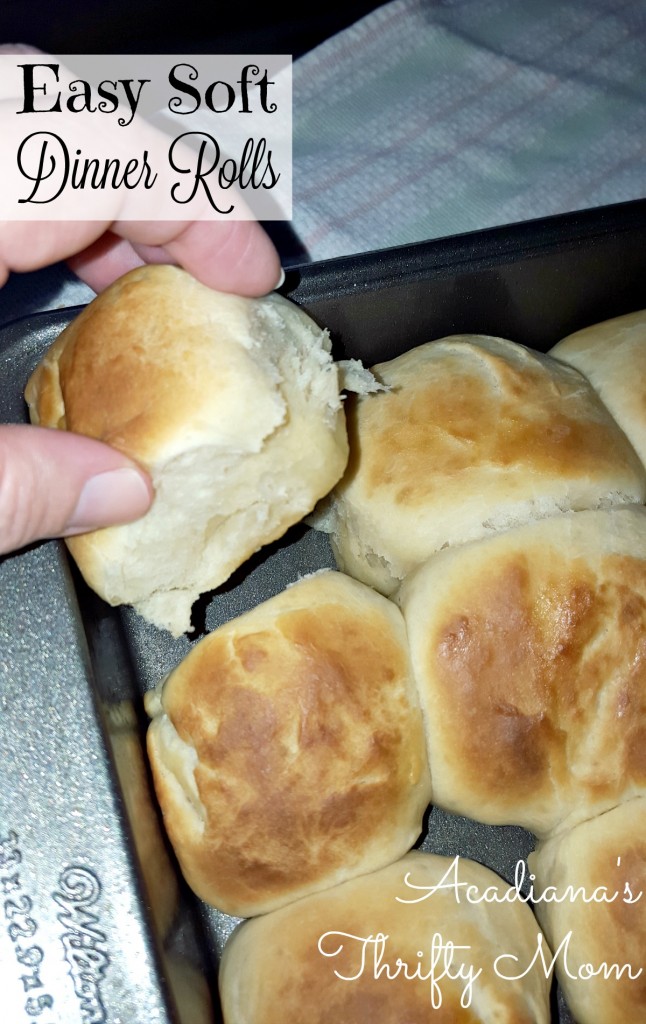 dinner rolls