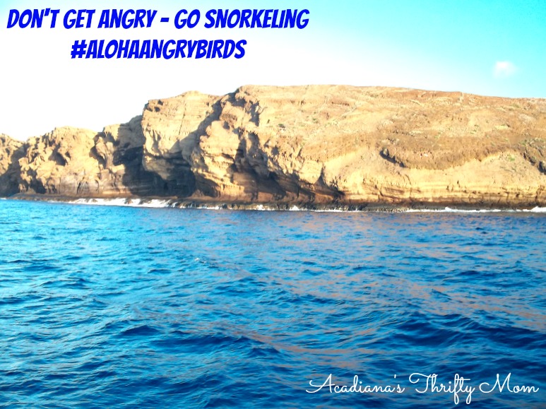 Don't Get Angry - Go Snorkeling #AlohaAngryBirds