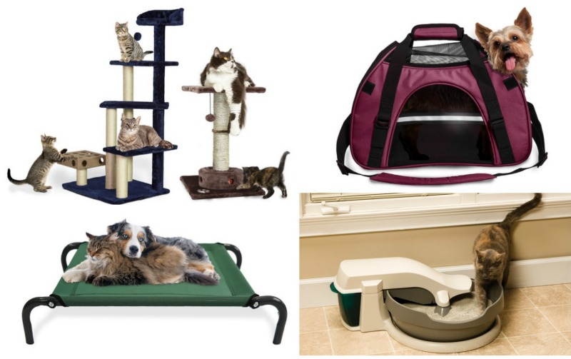 Pamper Your Pets For Less With Groupon