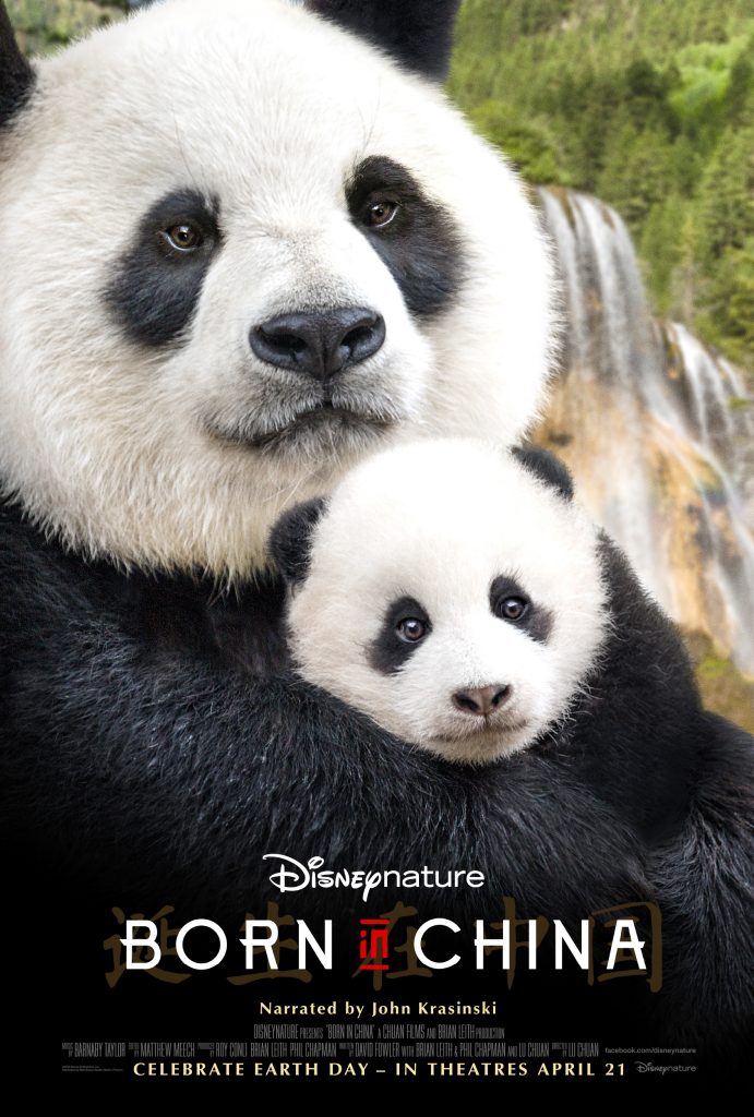 Disneynature Welcomes John Krasinski into the family as the narrator of Born In China #BornInChina