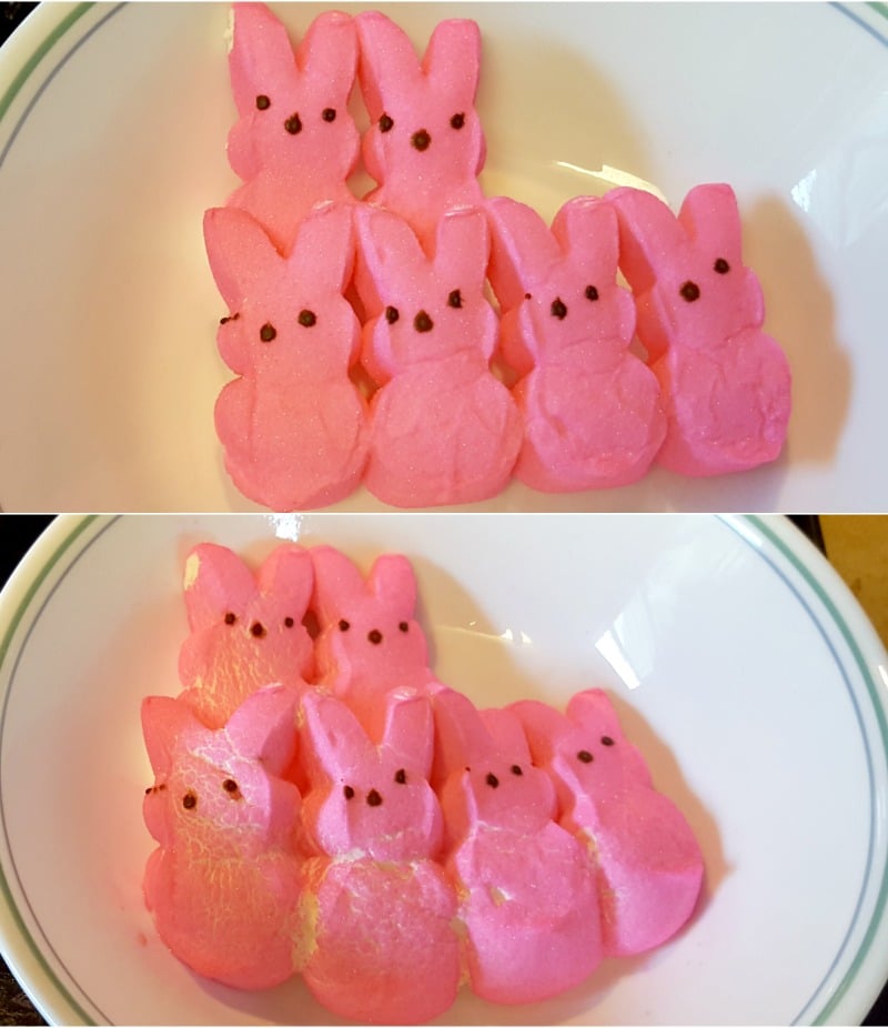 Have Fun This Easter Making Edible Easter Slime From PEEPS® 