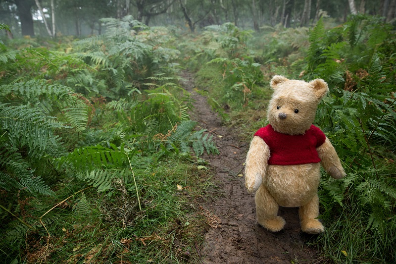 5 Reasons You Are Going To Be Happy You Took Your Family To See Christopher Robin