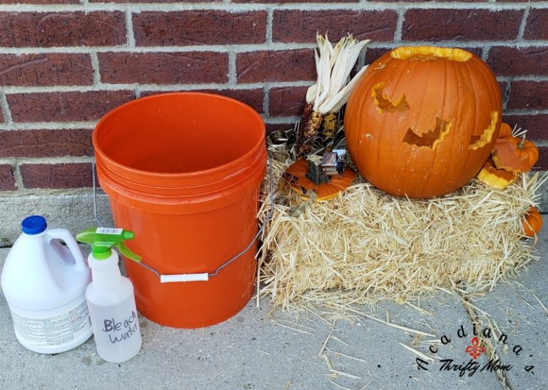 Four Great Tips That Will Save Your Jack O Lantern This Halloween ...