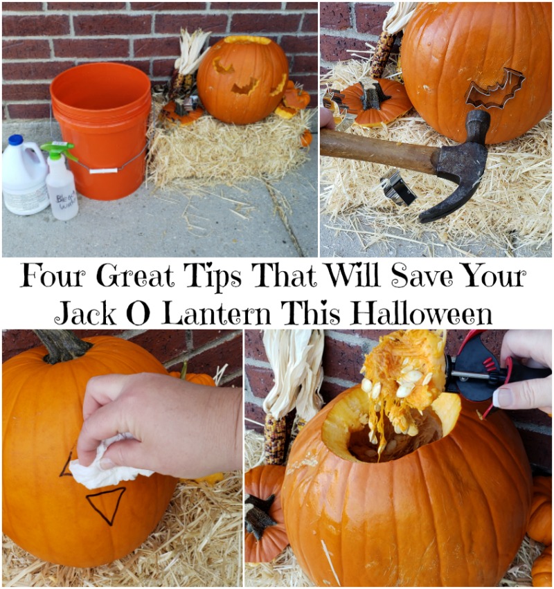 Four Great Tips That Will Save Your Jack O Lantern This Halloween 