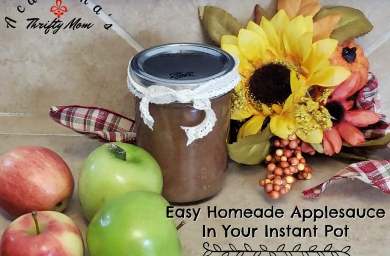 Easy 10 Minute Homemade Applesauce In Your Instant Pot