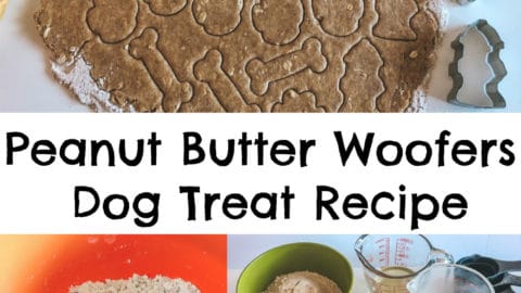 Peanut Butter Woofers Dog Treat Recipe