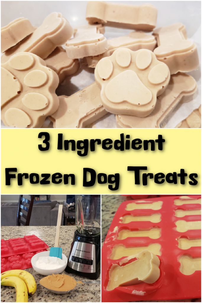 3 Ingredient Frozen Dog Treats