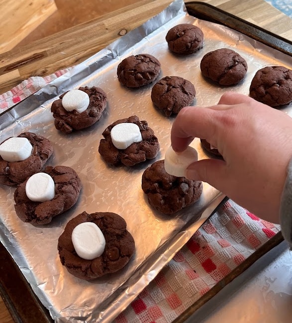 Hot Cocoa Cake Mix Cookies